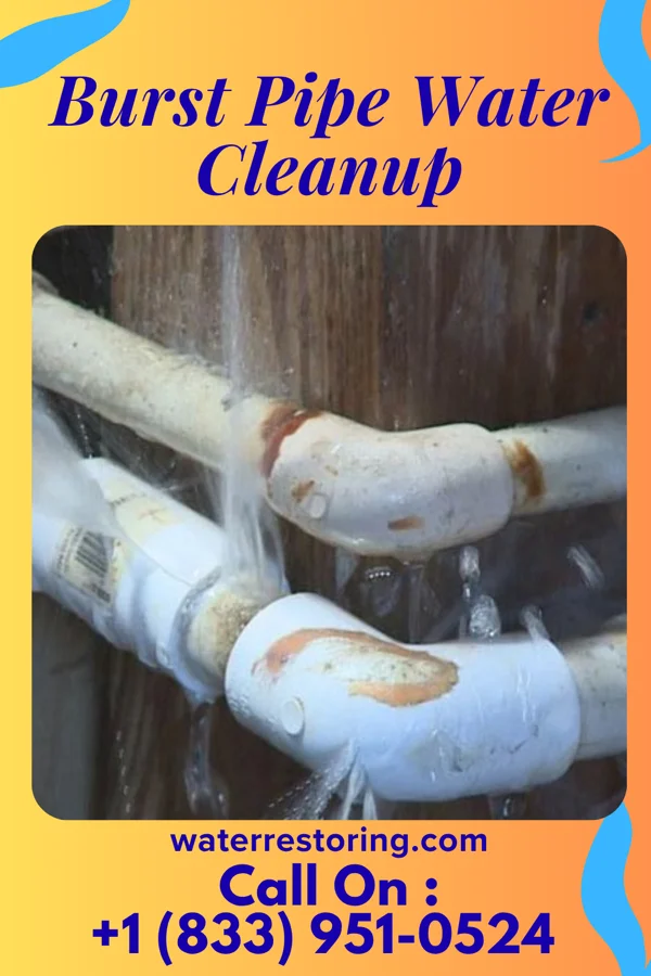 Burst Pipe Water Cleanup in Everson, WA