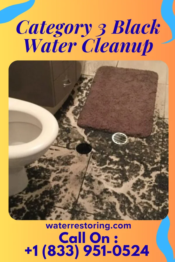 Category 3 Black Water Cleanup in Everson, WA