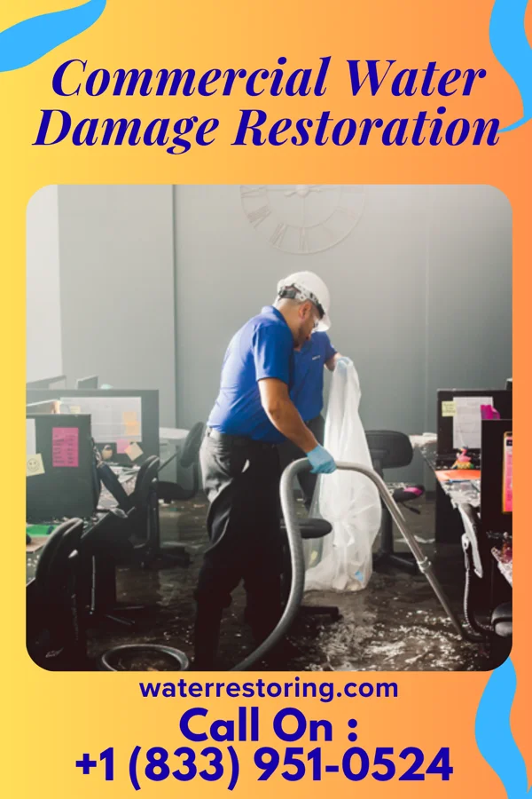 Commercial Water Damage Restoration in Everson, WA