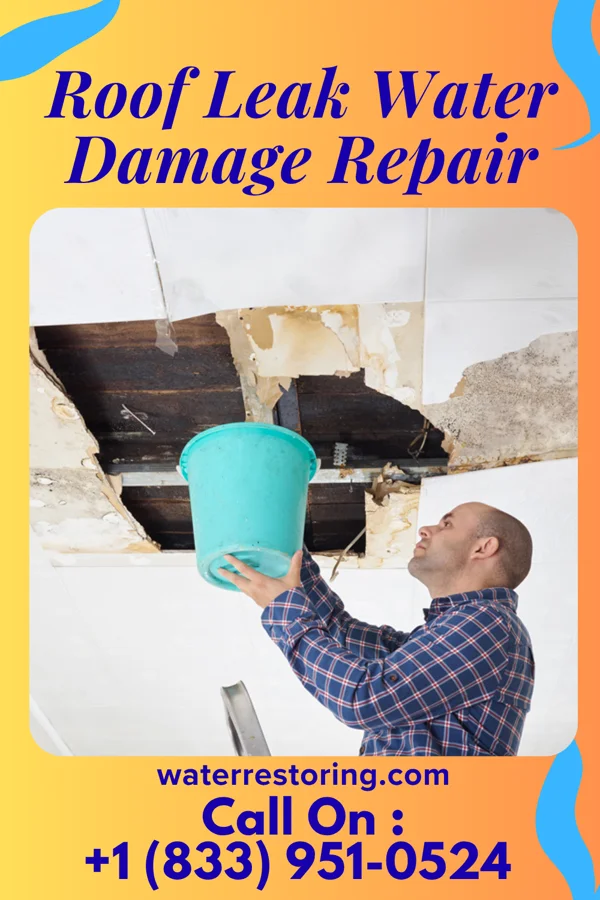 Roof Leak Water Damage Repair in Everson, WA